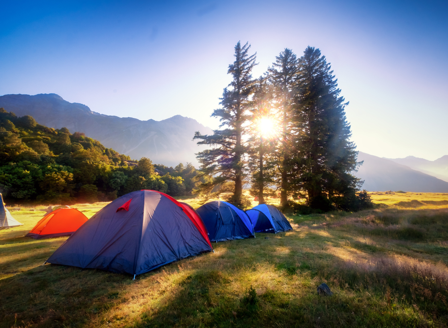 Untitled design (10)